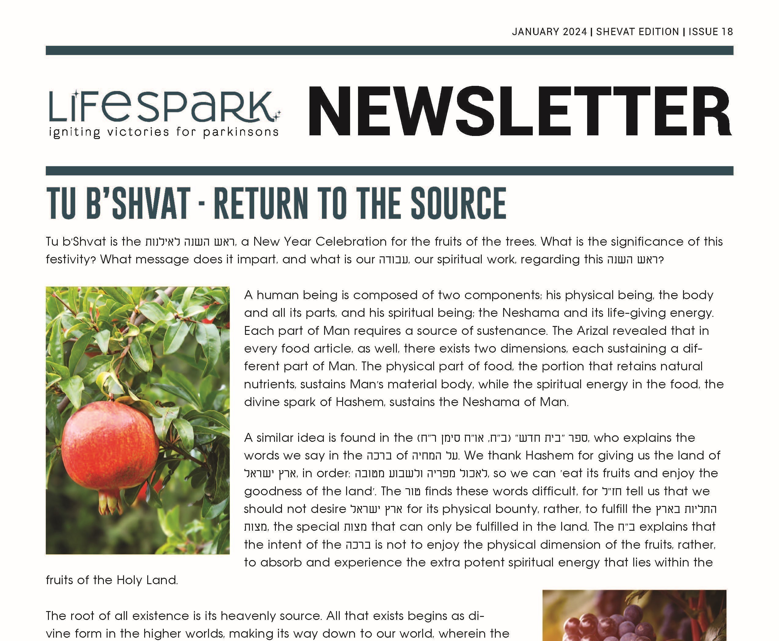 Newsletter - January 2024 -  Shevat Edition